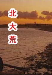 特级西西人体www